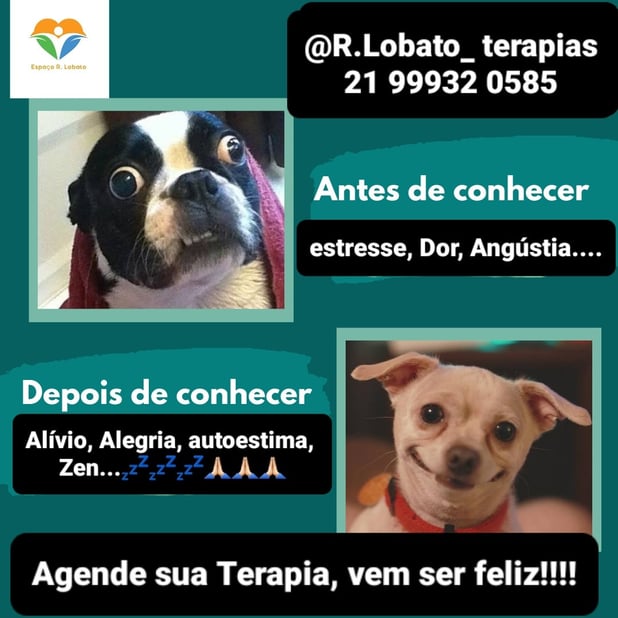 : Foto 8
