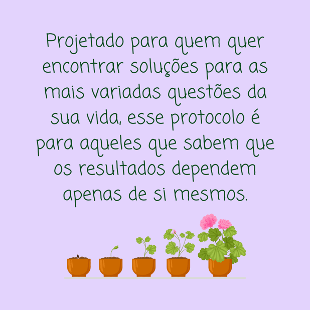 : Foto 4