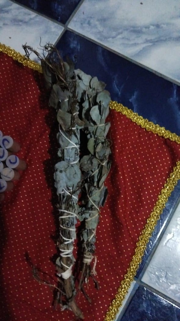 : Foto 8