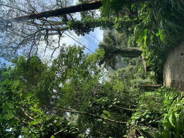 : Foto 6