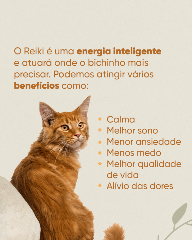 : Foto 7