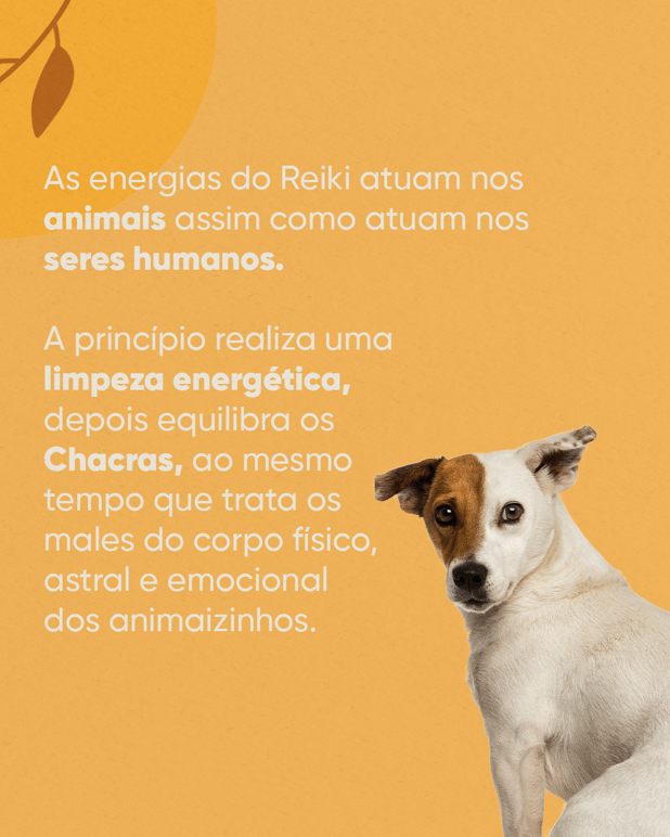 : Foto 6