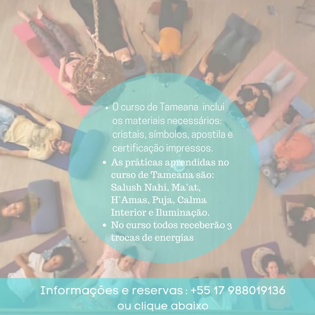 : Foto 7