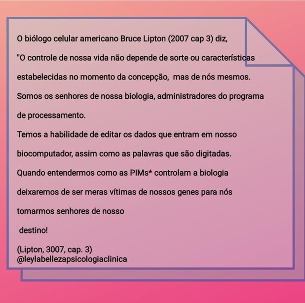 : Foto 6