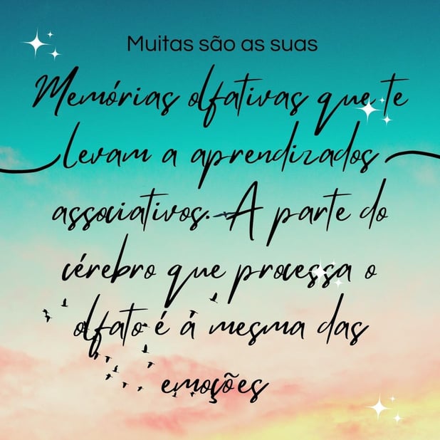 : Foto 6