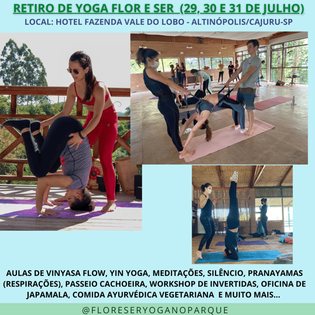 : Foto 5