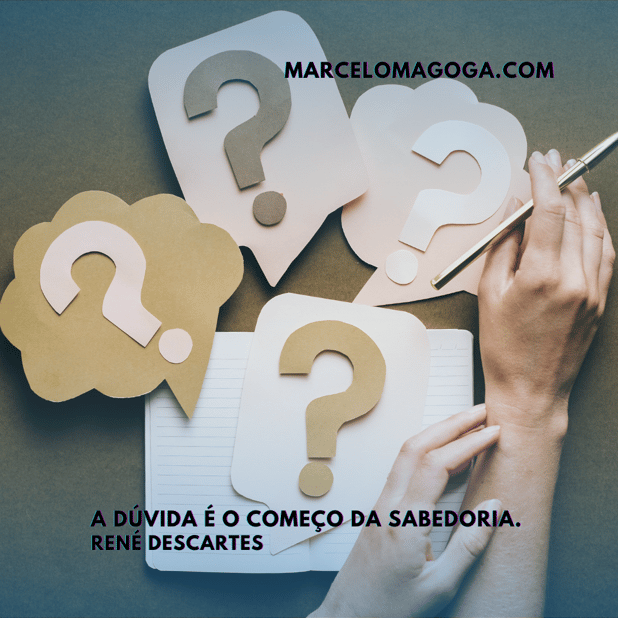 : Foto 7