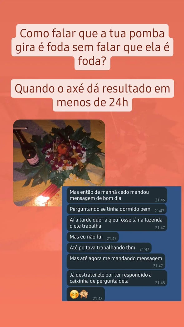 : Foto 6