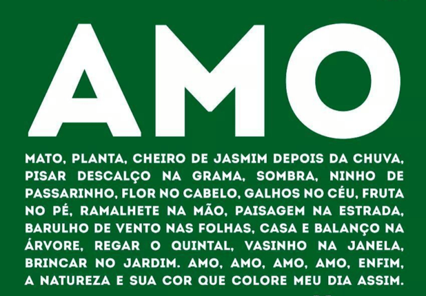 : Foto 4