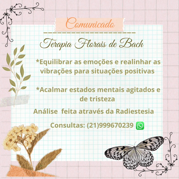 : Foto 3