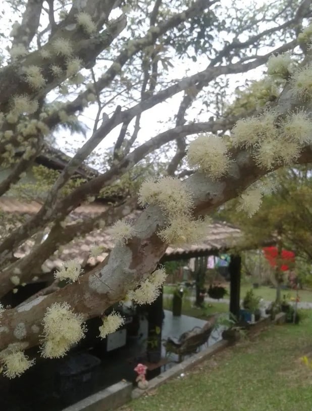 : Foto 9