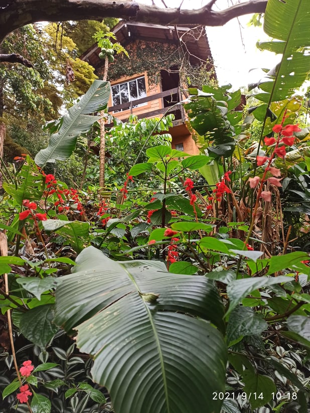 : Foto 15