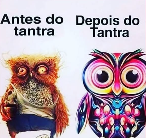 : Foto 1