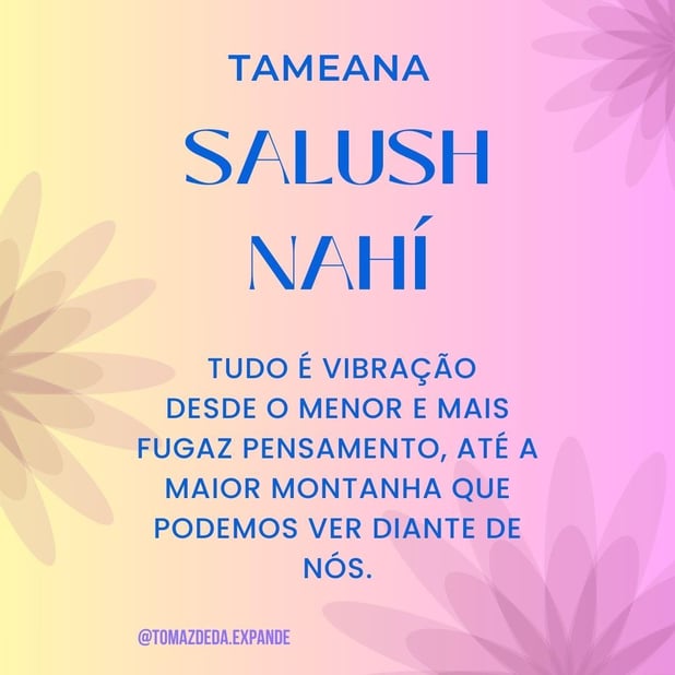 : Foto 5