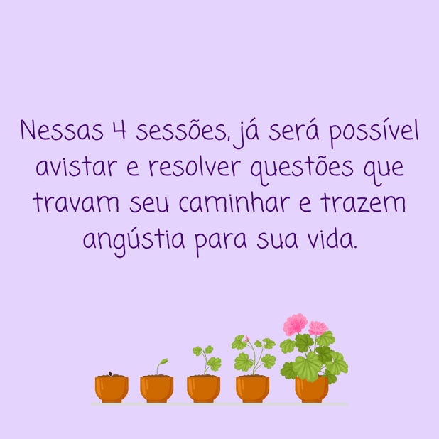 : Foto 7