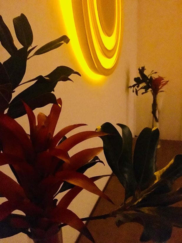 : Foto 2