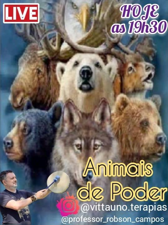 : Foto 3