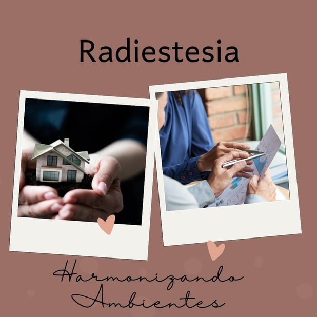 : Foto 4