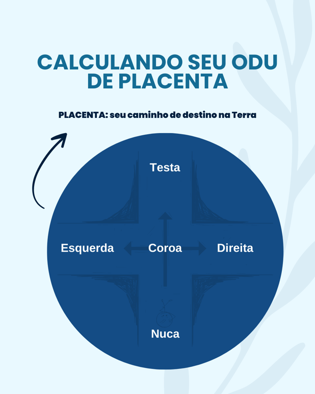 : Foto 1