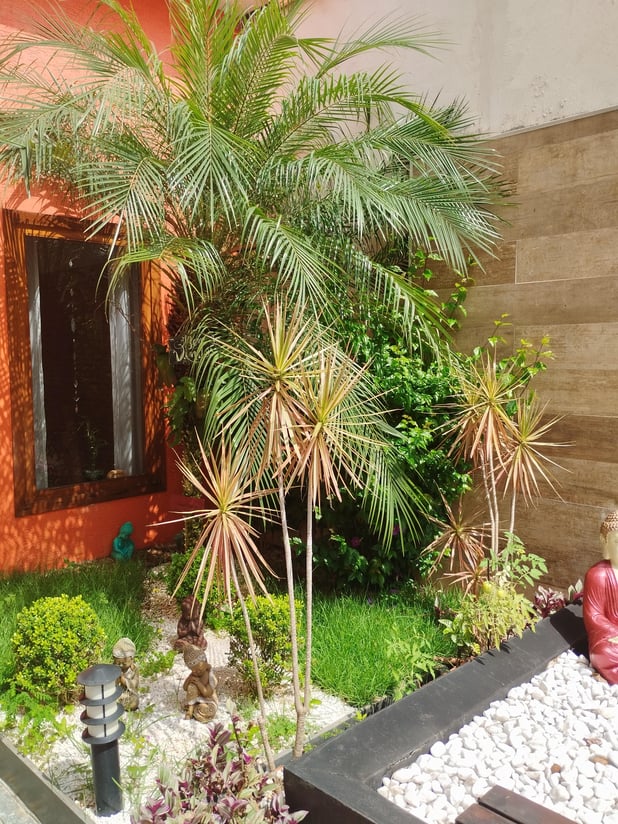: Foto 13