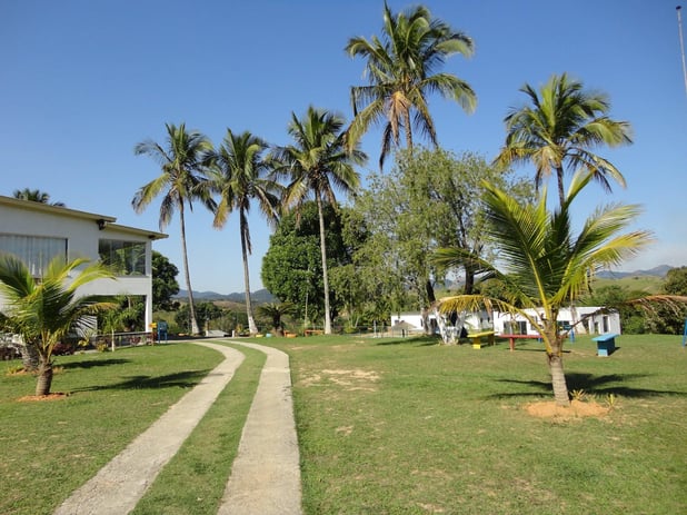 : Foto 6