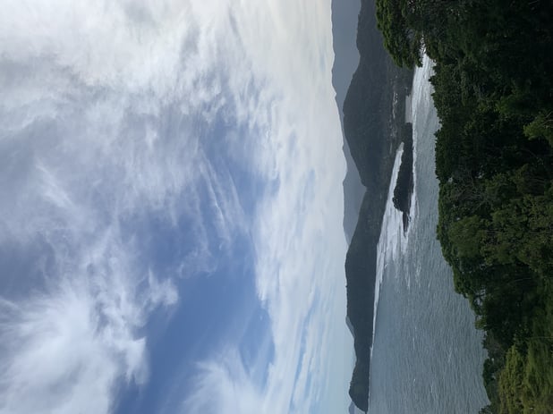 : Foto 7