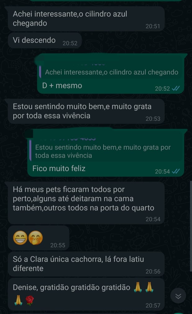 : Foto 9