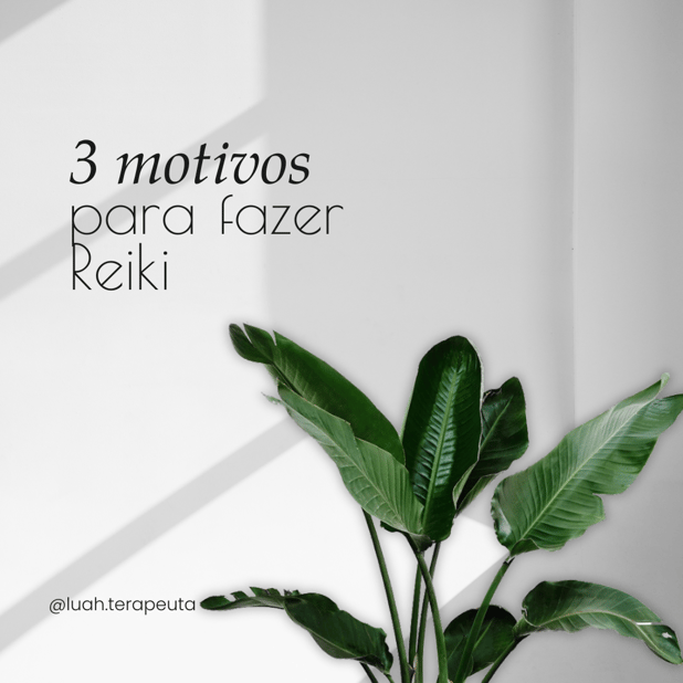 : Foto 3