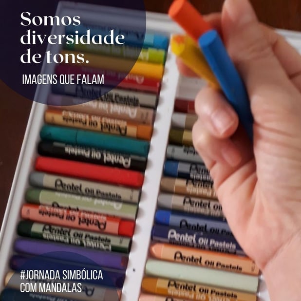 : Foto 5