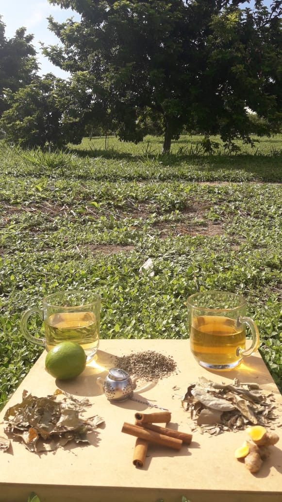: Foto 3