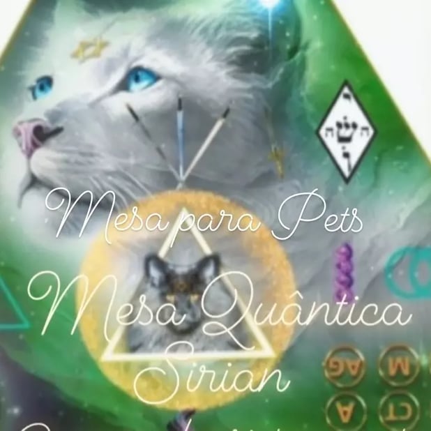 : Foto 0