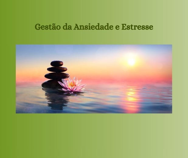 : Foto 8