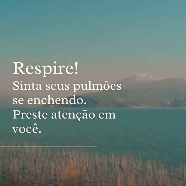 : Foto 6