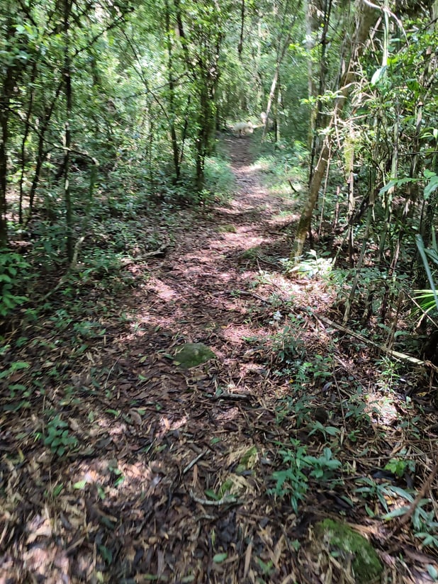 : Foto 13