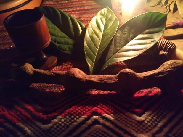 : Foto 17