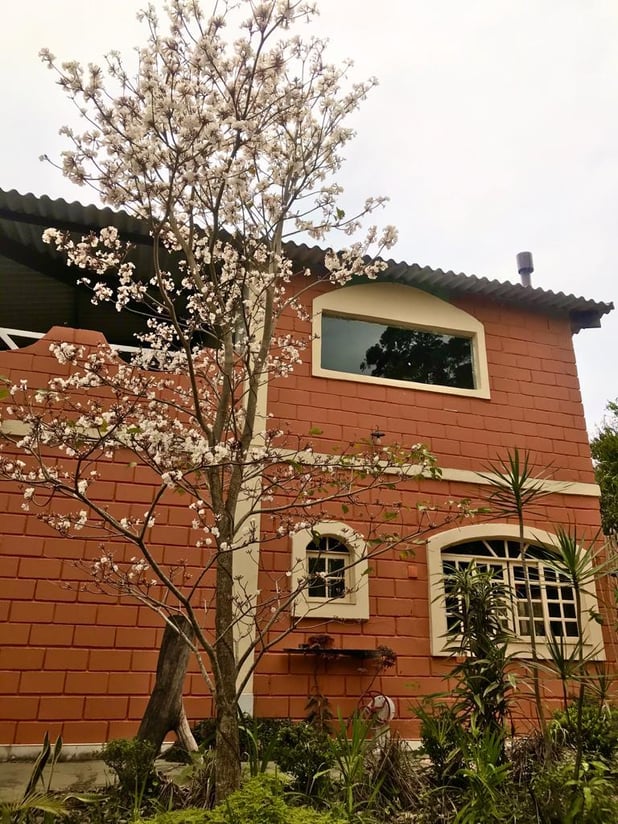 : Foto 11