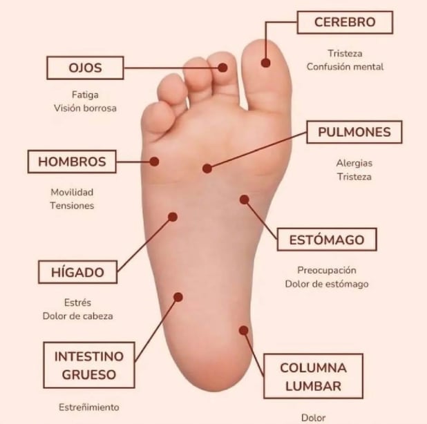: Foto 1