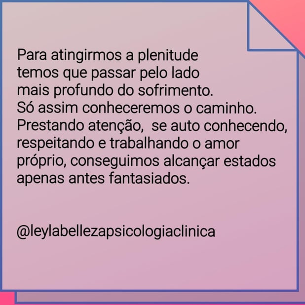 : Foto 5