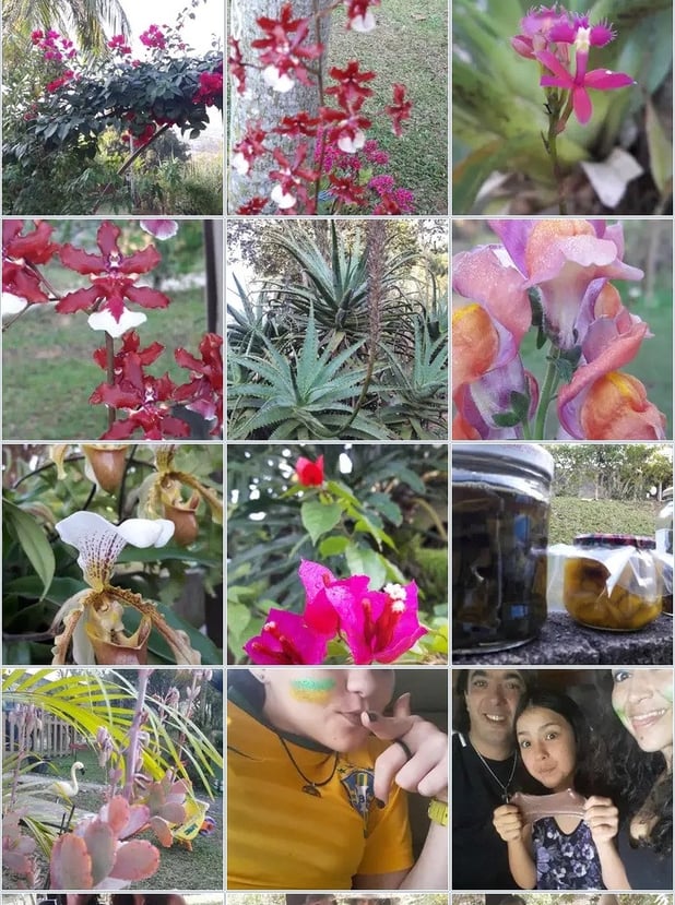 : Foto 11