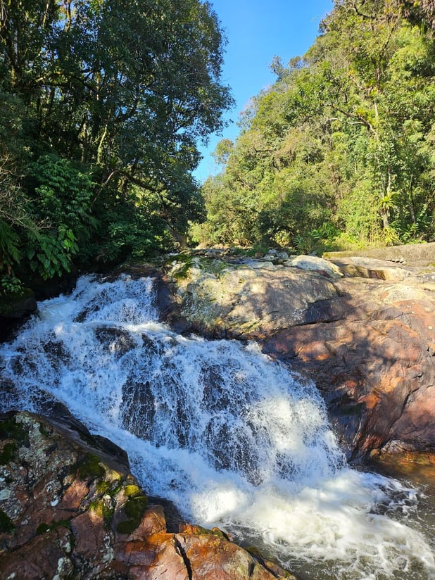 : Foto 0