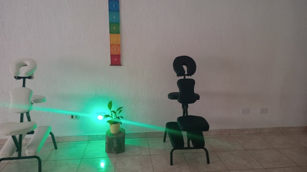 : Foto 1