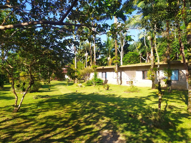 : Foto 14
