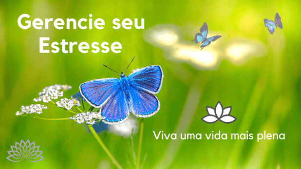 : Foto 0