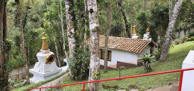 : Foto 4