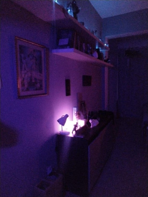 : Foto 4