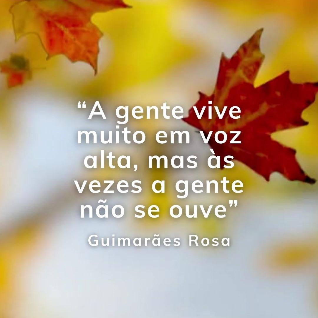 Foto 2 de 6