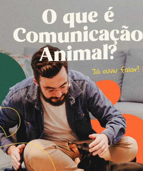 Foto 2 de 2