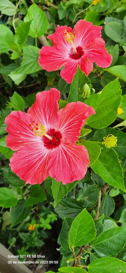Foto 2 de 5