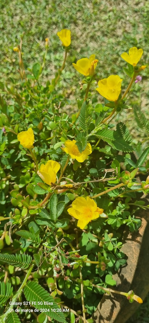 Foto 3 de 5