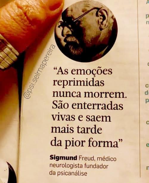 Foto 2 de 2